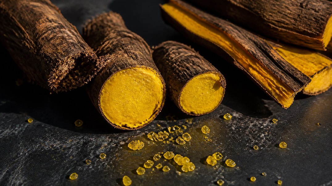 can berberine lower blood sugar like metformin