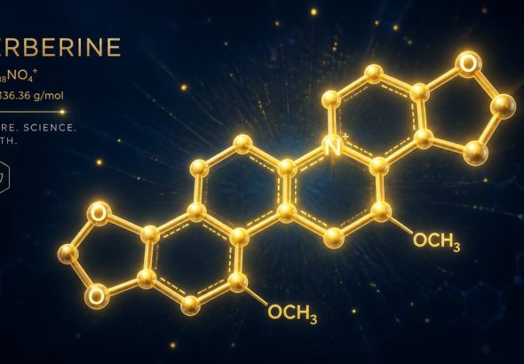 glp-1 and inflammation