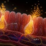 what causes low glp-1 levels